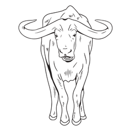 African buffalo animal stroke PNG Design