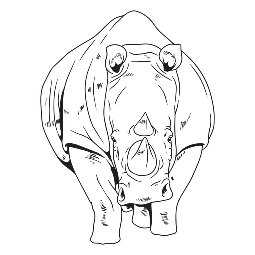 Curso de rinoceronte africano Desenho PNG