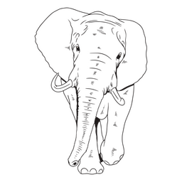 Elephant African Animal Stroke PNG & SVG Design For T-Shirts