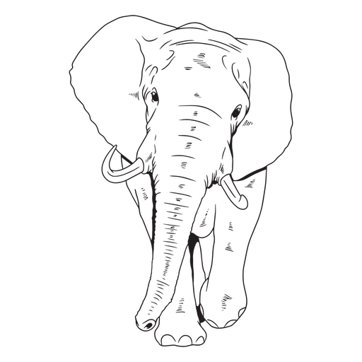 Elephant african animal stroke PNG Design