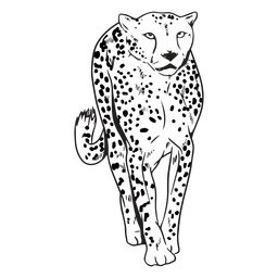 Curso de animal africano leopardo Desenho PNG