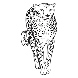 Leopard african animal stroke PNG Design Transparent PNG