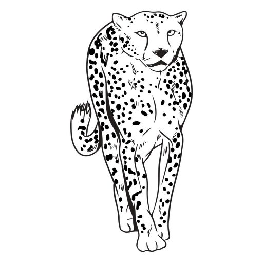 Curso de animal africano leopardo Desenho PNG