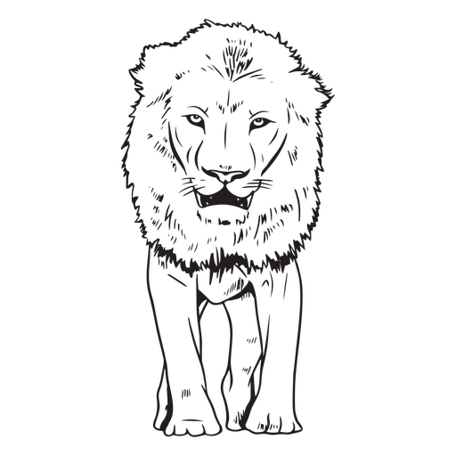 Curso de animal africano de leão Desenho PNG