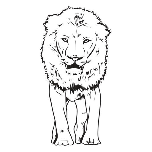 Golpe de animal africano león Diseño PNG