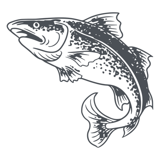 Bosquejo de bacalao Diseño PNG