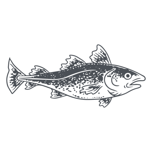 Un dibujo de un bacalao Diseño PNG