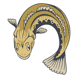 Kabeljau Farbstrich PNG-Design
