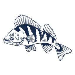 Curso cheio de peixe poleiro Desenho PNG