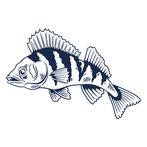 Perch fish filled stroke PNG Design