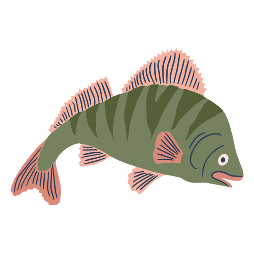 Perch fish flat PNG Design