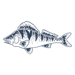 Barsch Fisch handgezeichnet PNG-Design