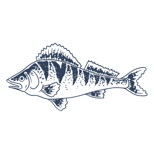 Pescado perca dibujado a mano Diseño PNG