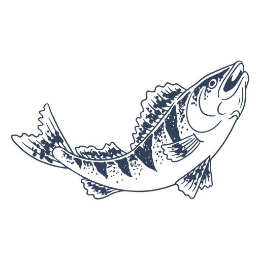 Perca dibujada a mano de pescado Diseño PNG