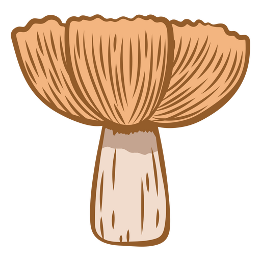 Foraging for mushrooms in the wilderness    PNG Design
