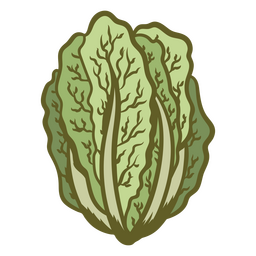 Lettuce foraging PNG Design