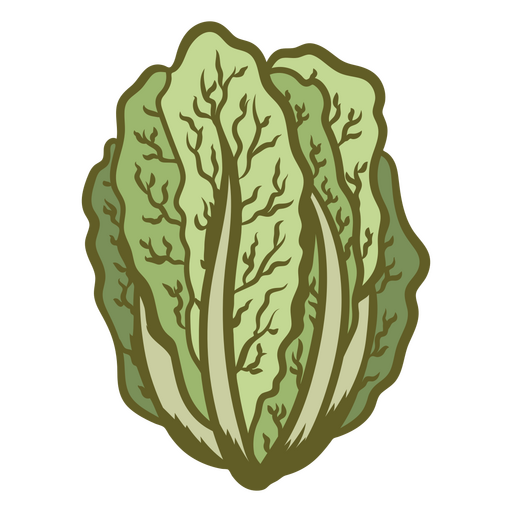 Búsqueda de lechuga Diseño PNG