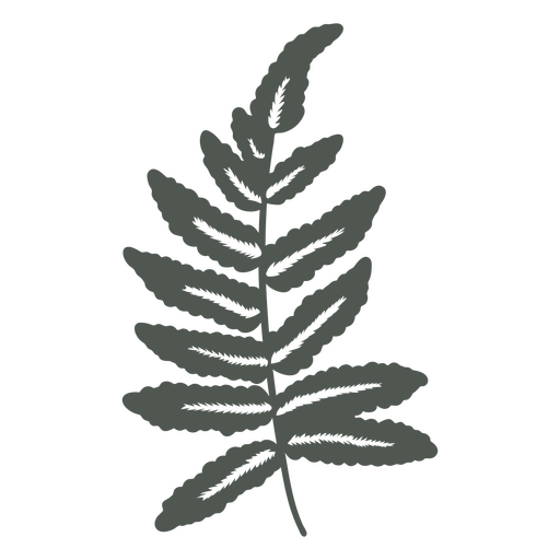 Foraging for botanical leaves    PNG Design
