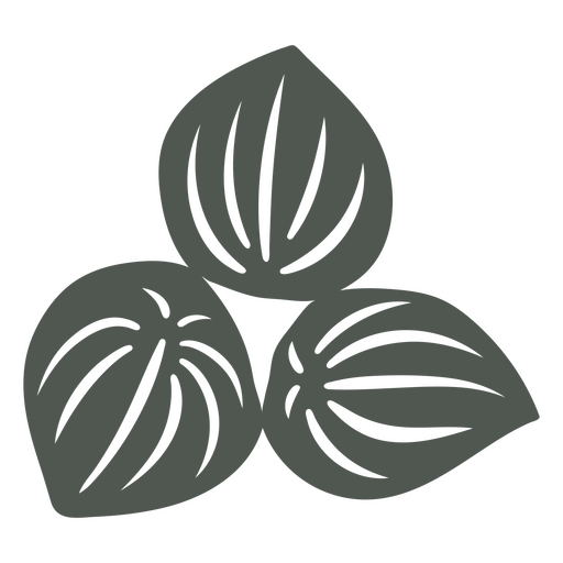 Patrón de sombra de hojas botánicas Diseño PNG