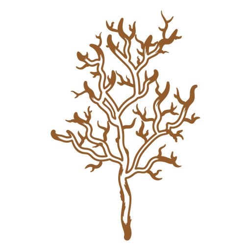 Imagen de trazo de hierbas aromáticas Diseño PNG