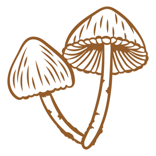 Fungi stroke image PNG Design