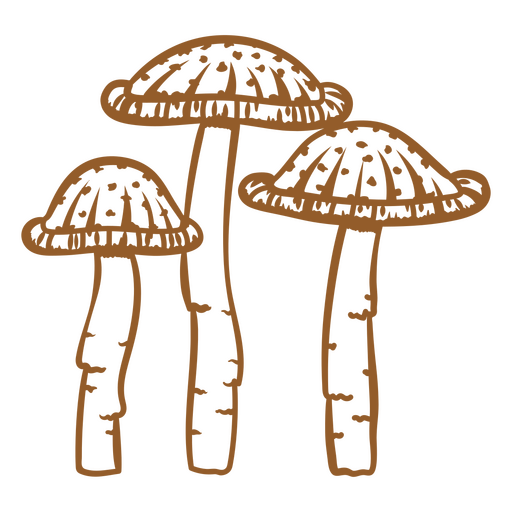 An image of edible mushrooms PNG Design