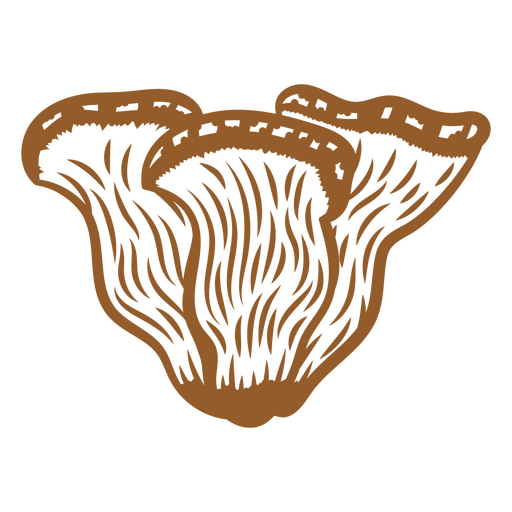 Imagem de curso de cogumelo ostra Desenho PNG