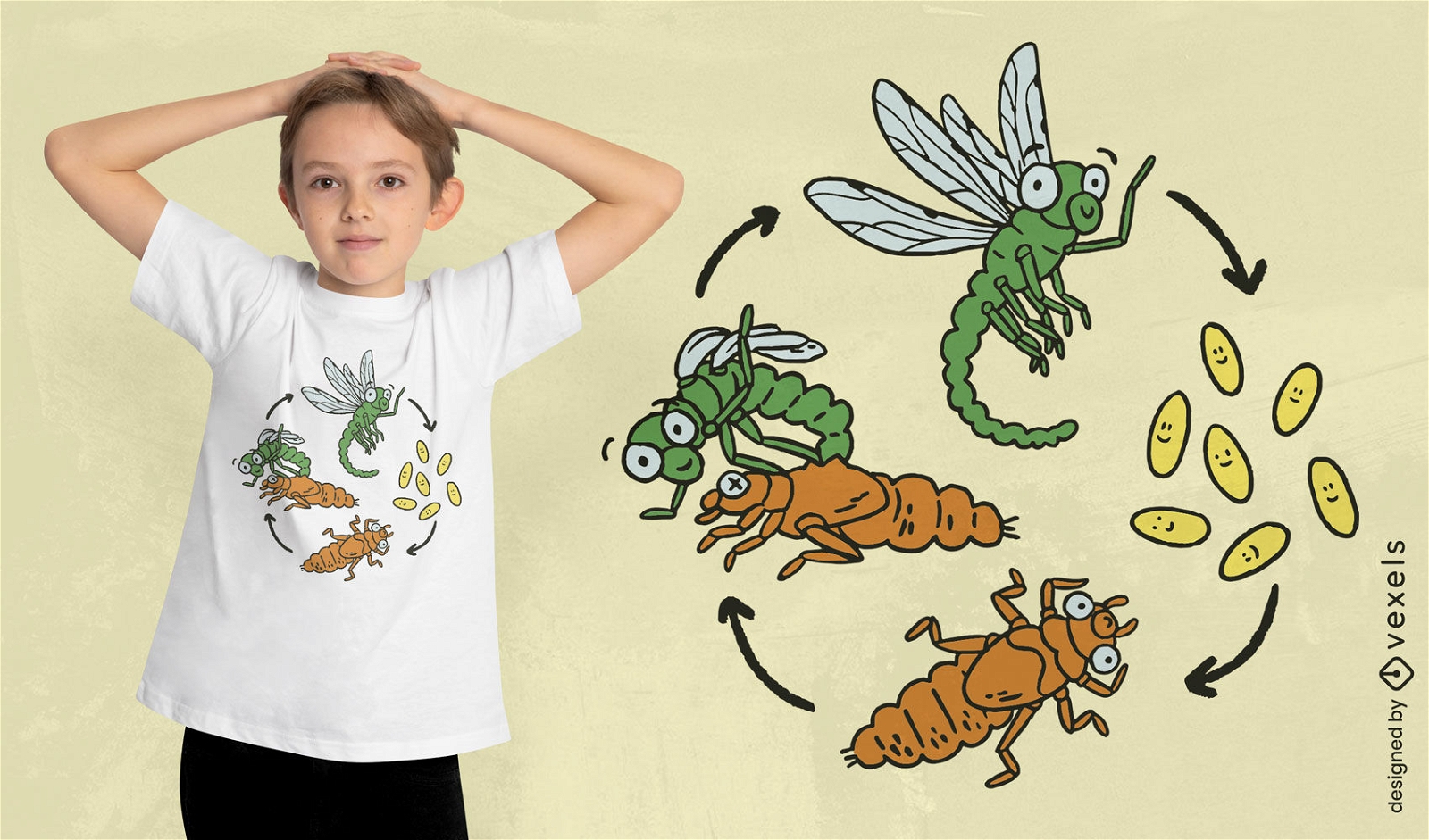 Design de camiseta de ciclo de estágios de libélula