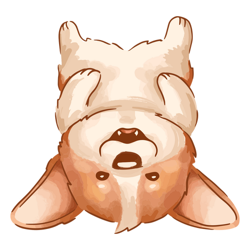 Corgi brincalh?o aquarela bonito Desenho PNG