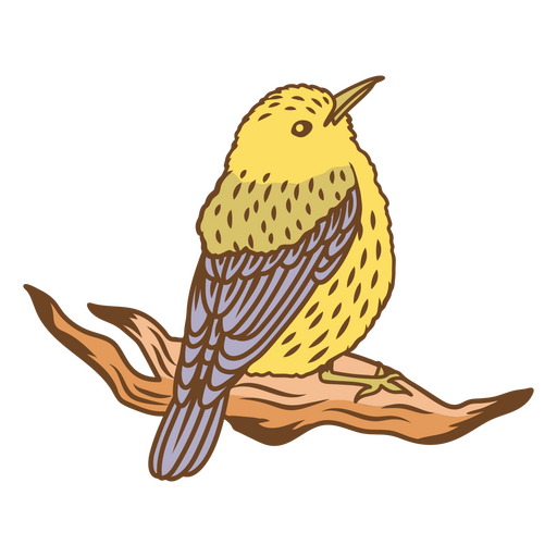 Birds color stroke gold finch PNG Design