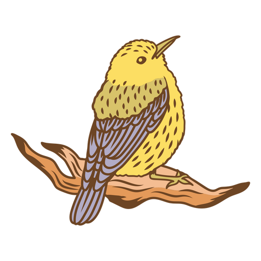 Vögel färben Strichgoldfink PNG-Design