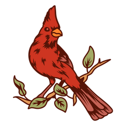 Birds color stroke cardinal PNG Design