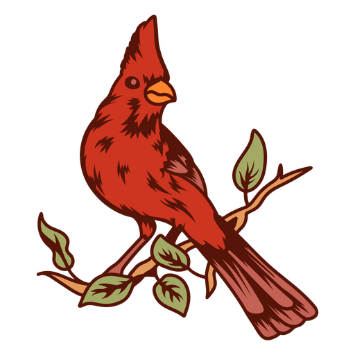 Birds color stroke cardinal