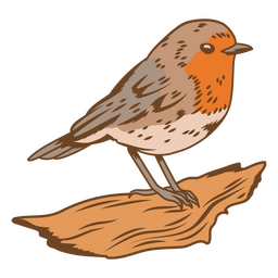 Birds color stroke robin PNG Design Transparent PNG