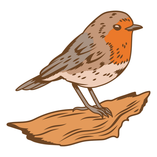 Birds color stroke robin PNG Design