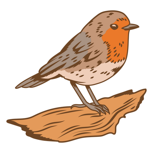 Vögel färben Rotkehlchen PNG-Design