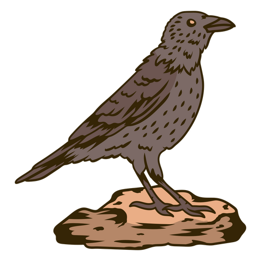 Ilustração majestosa do corvo Desenho PNG