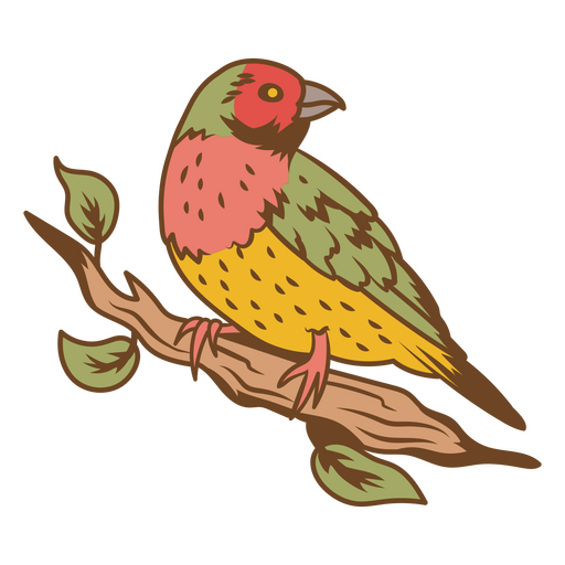 Ilustração de plumagem colorida Desenho PNG
