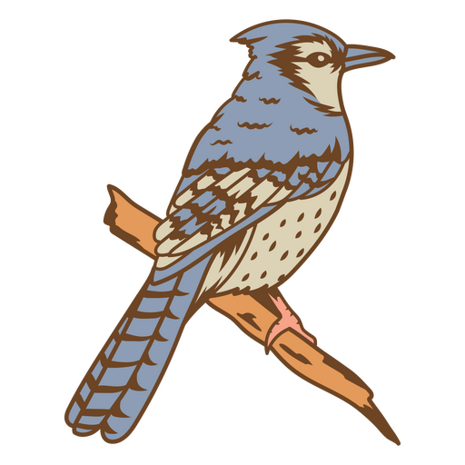 Auffälliger Vogel PNG-Design