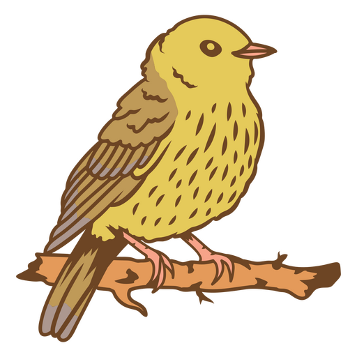 design de pássaro festivo Desenho PNG