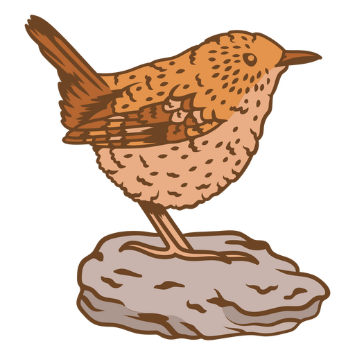 Ilustração requintada de pássaro Desenho PNG