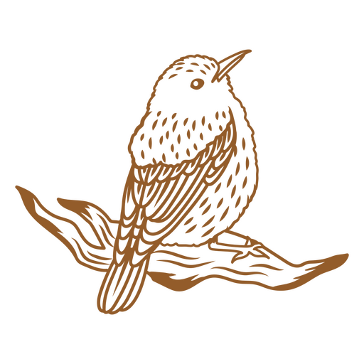Majestätisches Vogelschlag-Design PNG-Design