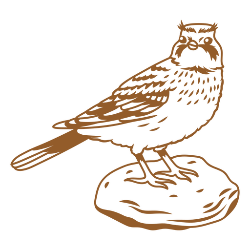 Imagem de traço de plumagem colorida Desenho PNG