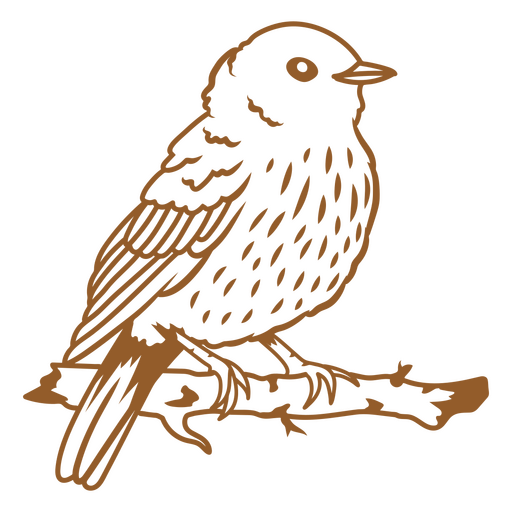 Exquisite bird stroke image PNG Design