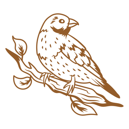 Schwungvolles Vogelstrichbild PNG-Design