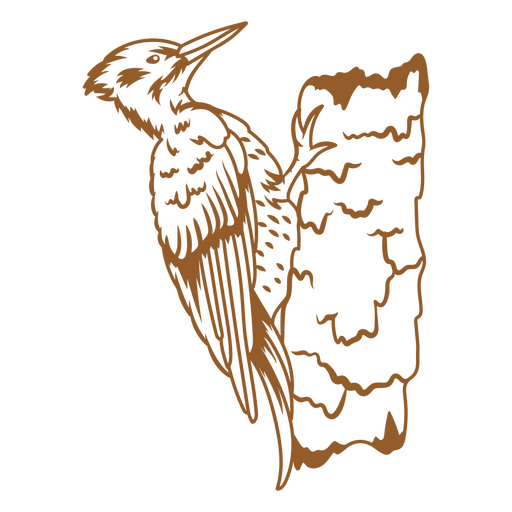 Imagen de trazo de pájaro carpintero Diseño PNG