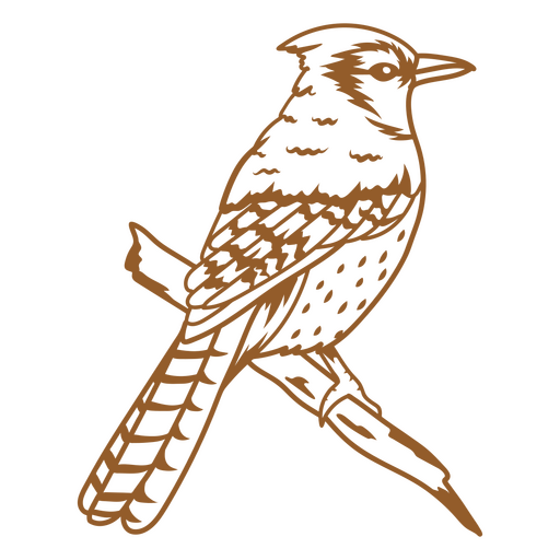 Strahlendes Vogelstrichbild PNG-Design