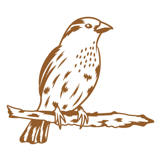 Imagen de trazo de pájaro brillante Diseño PNG