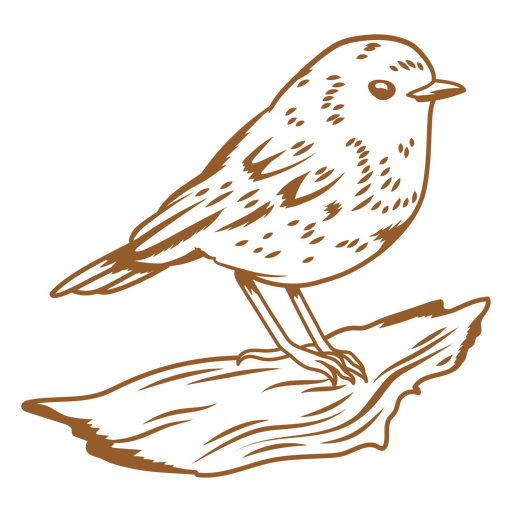 Mutiges Vogelstrichbild PNG-Design