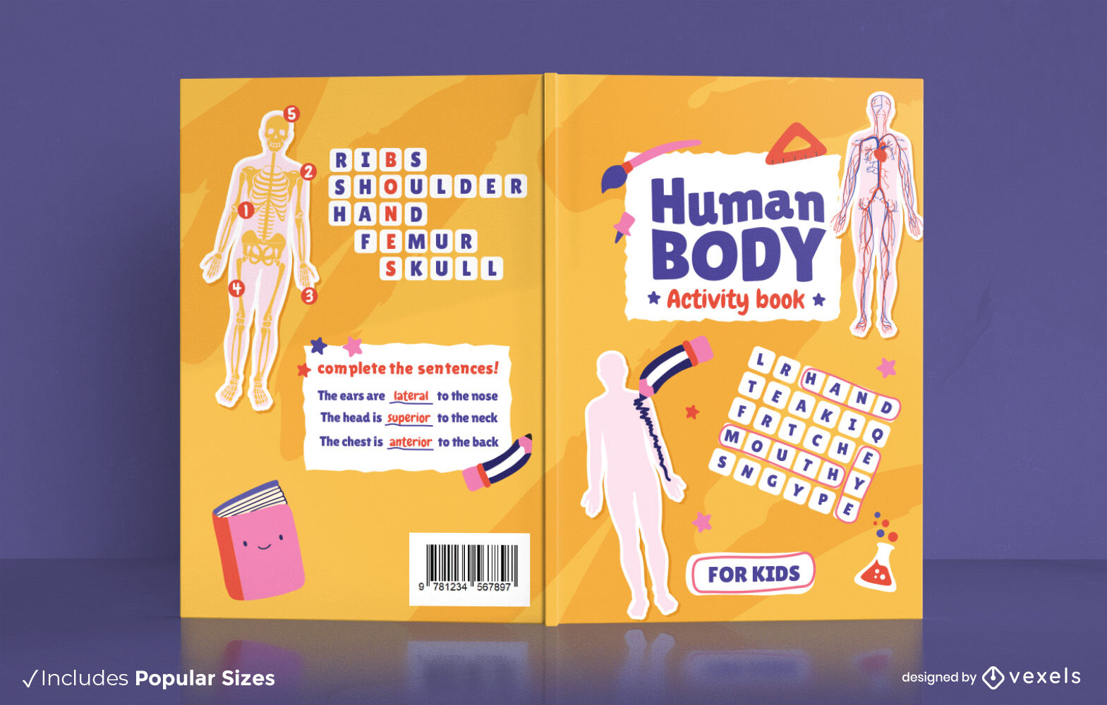 Buchcover-Design des menschlichen Körpers der Anatomie